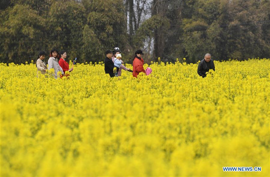 CHINA-SICHUAN-COLE FLOWERS-TOURISM (CN)