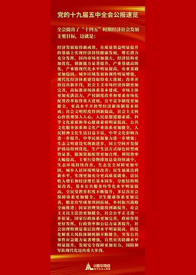 全會提出了&ldquo;十四五&rdquo;時期經(jīng)濟社會發(fā)展主要目標(biāo)
