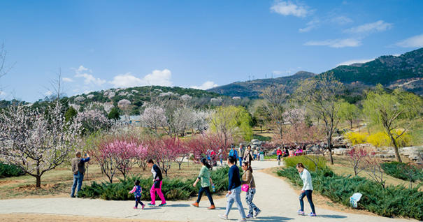 美到無法呼吸！&ldquo;西山晴雪&rdquo;攝影大賽來了