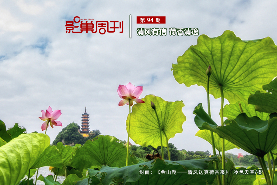金山湖——清風(fēng)送爽荷香來(lái)