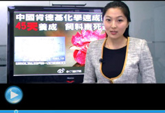 權(quán)威聲音：&ldquo;快時(shí)代&rdquo;究竟還有什么可以速成？