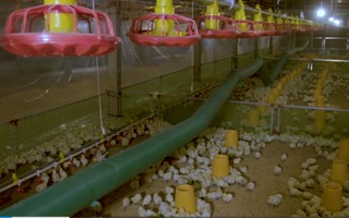 深河一家親 扶貧在路上&mdash;&mdash;深圳幫扶干部幫河源貧困戶(hù)&ldquo;算賬&rdquo;