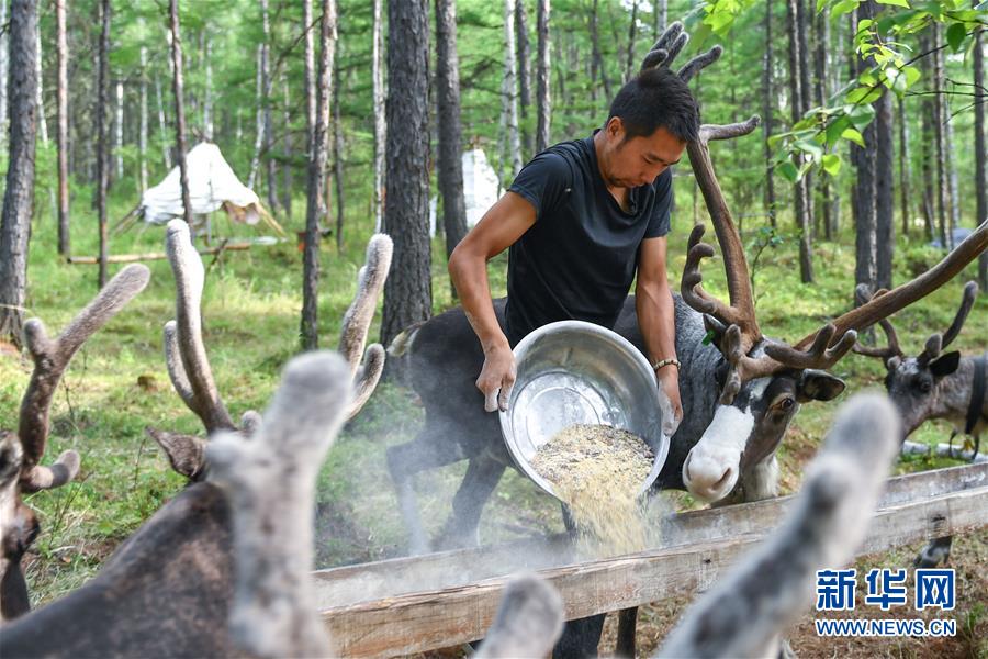【聚焦脫貧攻堅】這組數(shù)字，來之不易