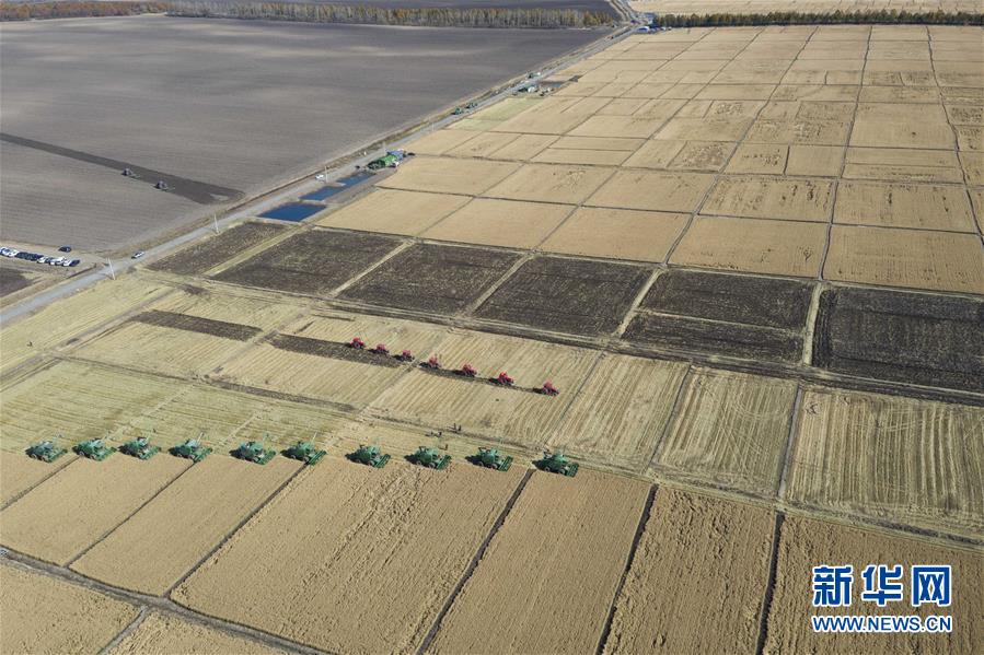 （社會(huì)）（1）&ldquo;北大荒&rdquo;秋收忙