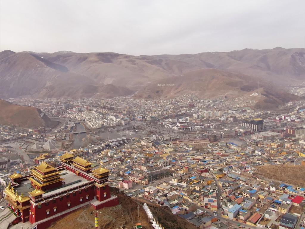 震后11年，玉樹正芳華