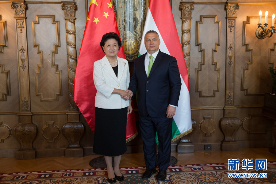  6月21日，國務(wù)院副總理劉延東（左）在匈牙利布達佩斯國會大廈會見匈牙利總理歐爾班。 新華社發(fā)（弗爾季&middot;奧蒂洛攝）