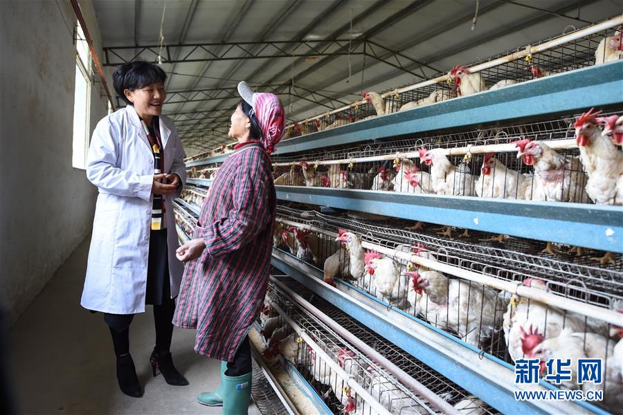 （十九大代表回基層&middot;圖文互動(dòng)）（1）擺脫貧困后，還應(yīng)有更高的精神追求&mdash;&mdash;十九大代表余留芬的&ldquo;宣講時(shí)光&rdquo;