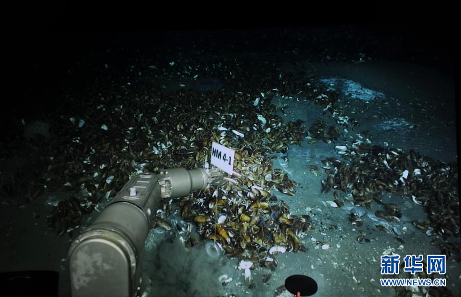 （圖文互動(dòng)）（3）到南海&ldquo;海馬冷泉&rdquo;探秘海底的&ldquo;生命綠洲&rdquo;