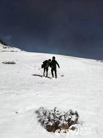 下雪天巡護(hù)也是常有的事。