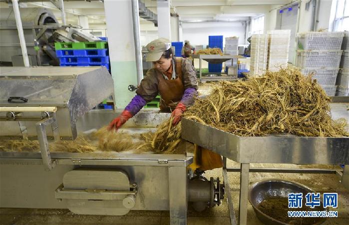 （百城百縣百企調(diào)研行&middot;圖文互動）（5）吉林集安：邊陲&ldquo;綠色明珠&rdquo;為何如此閃亮？