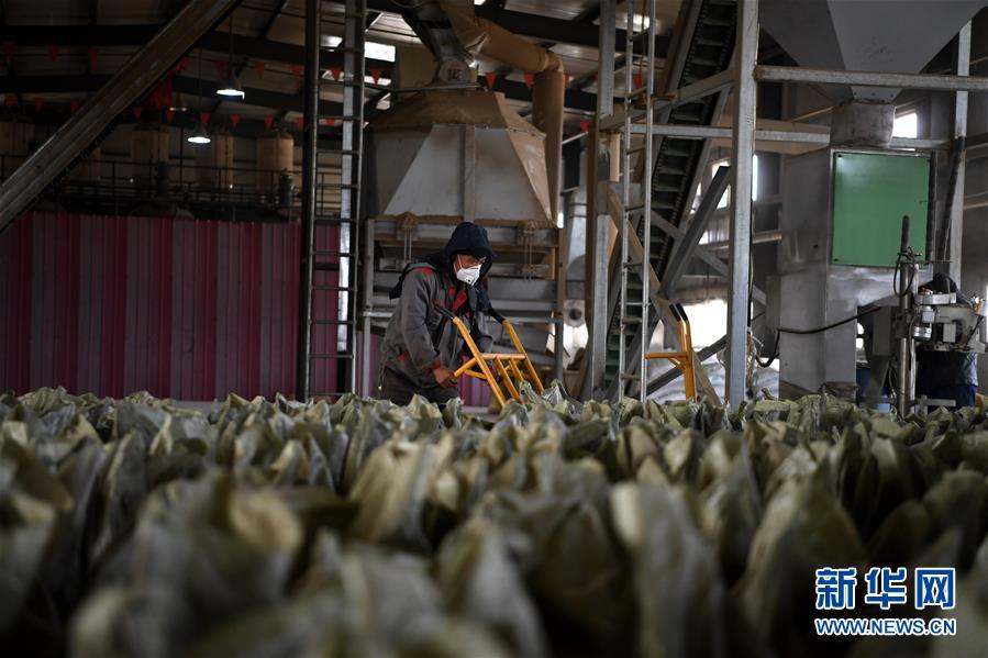 （在習(xí)近平新時代中國特色社會主義思想指引下&mdash;&mdash;新時代新氣象新作為&middot;鄉(xiāng)村振興戰(zhàn)略&middot;圖文互動）（1）&ldquo;與其放火，不如打包&rdquo;&mdash;&mdash;山西渾源秸稈綜合再利用見聞