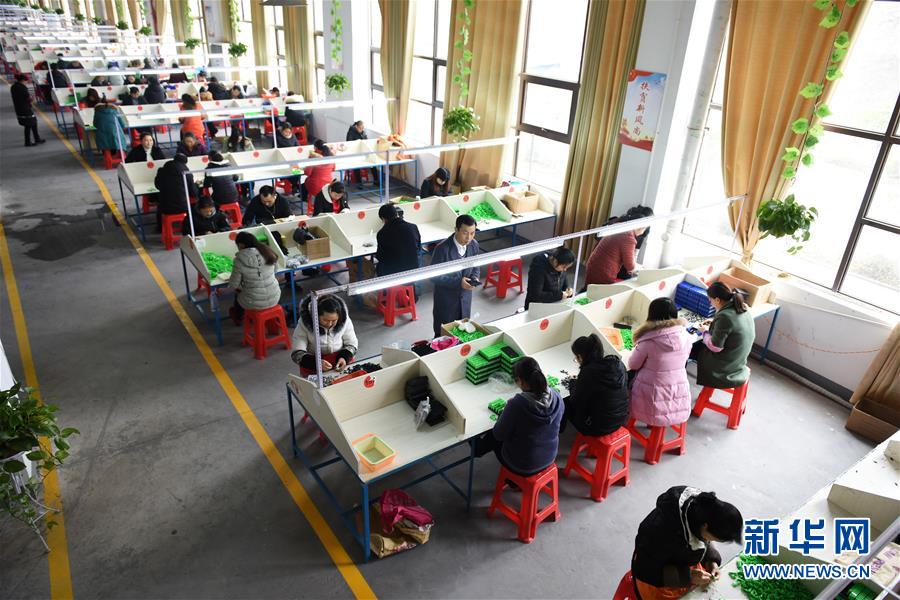 （在習(xí)近平新時(shí)代中國(guó)特色社會(huì)主義思想指引下&mdash;&mdash;新時(shí)代新作為新篇章&middot;圖文互動(dòng)）（5）&ldquo;搬遷到哪里，服務(wù)就延伸到哪里&rdquo;&mdash;&mdash;貴州推進(jìn)易地扶貧搬遷&ldquo;后半篇文章&rdquo; 