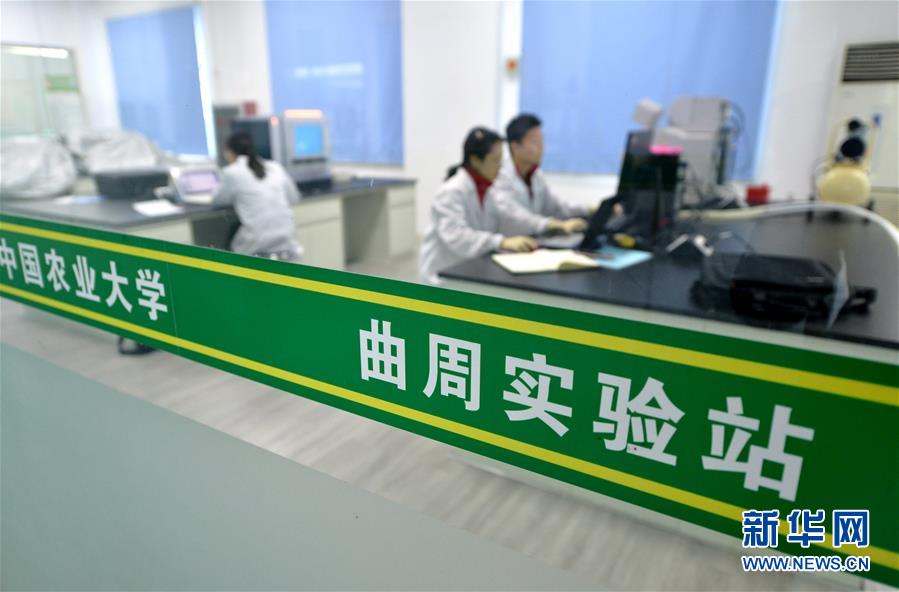 （愛國情 奮斗者&middot;圖文互動）（3） &ldquo;解民生之多艱，育天下之英才&rdquo;&mdash;&mdash;中國農(nóng)大師生扎根田野書寫奉獻之歌