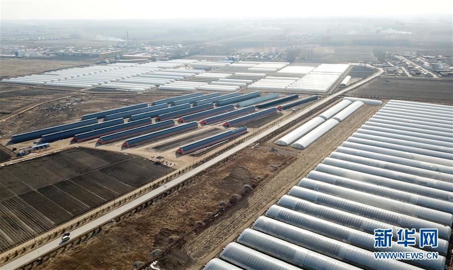 （在習近平新時代中國特色社會主義思想指引下&mdash;&mdash;新時代新作為新篇章&middot;圖文互動）（3）&ldquo;無人作業(yè)&rdquo;來臨 綠色食品&ldquo;當家&rdquo;&mdash;&mdash;黑龍江探索現代農業(yè)發(fā)展路徑