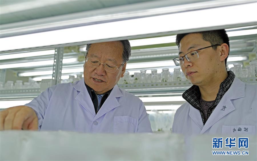 （新華全媒頭條&middot;圖文互動(dòng)）（2）和蔬菜&ldquo;說話&rdquo;的人&mdash;&mdash;中國工程院院士李天來的&ldquo;棚菜人生&rdquo;