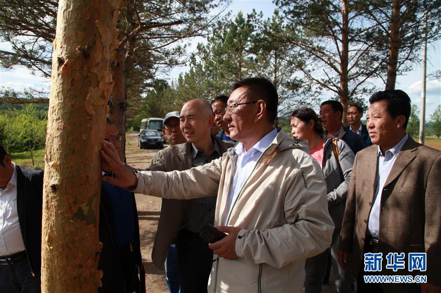 （新華全媒頭條&middot;圖文互動）（4）用生命守護(hù)那片綠色&mdash;&mdash;追記內(nèi)蒙古大興安嶺林區(qū)干部于海俊