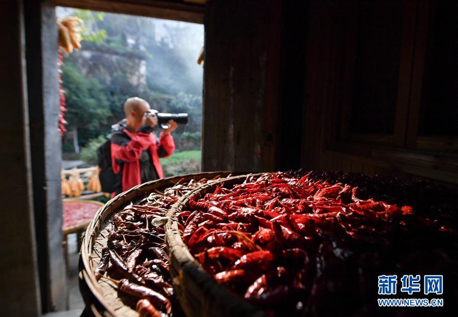 （圖文互動）（6）鄉(xiāng)村攝影師、鄉(xiāng)村&ldquo;模特&rdquo;、民宿店主&mdash;&mdash;鄉(xiāng)村旅游推動婺源農(nóng)民生活方式發(fā)生新變化