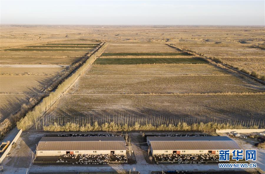 （新華全媒頭條&middot;圖文互動）（8）大漠小城的絕地反擊