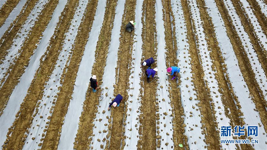 (在習近平新時代中國特色社會主義思想指引下——新時代新作為新篇章·習近平總書記關(guān)切事·圖文互動)(8)啃下最后的硬骨頭——脫貧攻堅掛牌督戰(zhàn)進行時