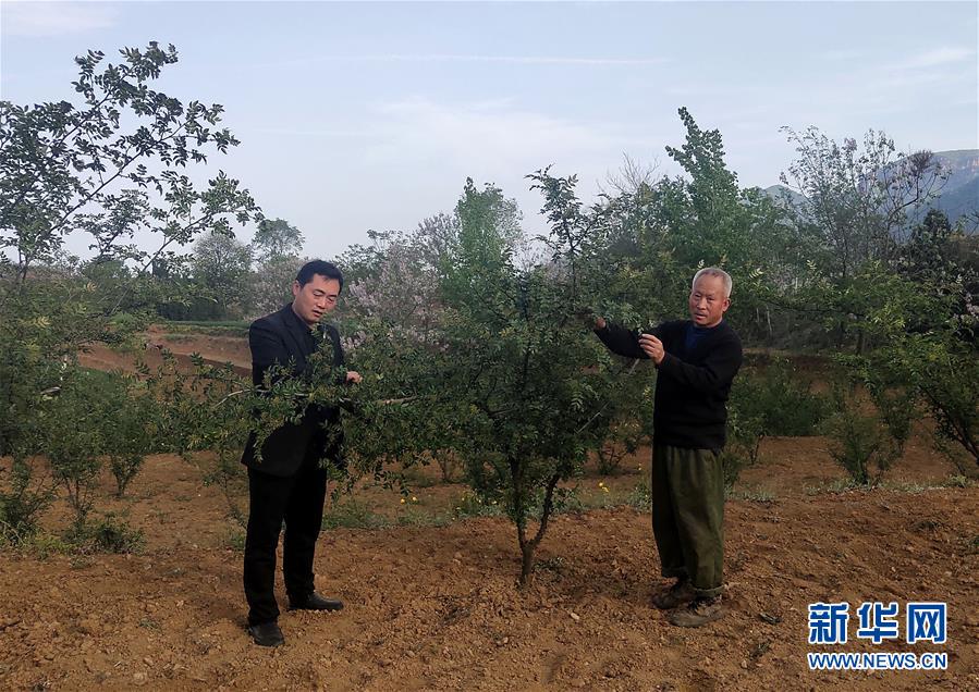 （新華全媒頭條&middot;圖文互動(dòng)）（6）春天里的5個(gè)&ldquo;戰(zhàn)貧&rdquo;瞬間&mdash;&mdash;習(xí)近平總書(shū)記關(guān)于脫貧攻堅(jiān)決策部署指引攻克最后的深貧堡壘