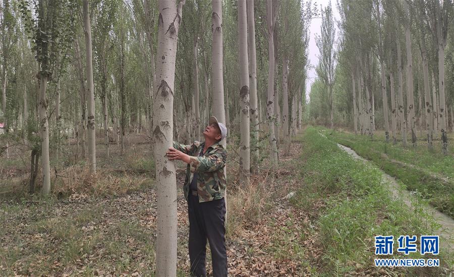 (圖文互動(dòng))(4)記者手記:向“看不見”的勞動(dòng)者和他們的夢(mèng)想致敬