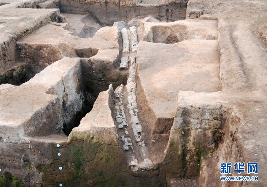 (文化)(10)2019年度全國(guó)十大考古新發(fā)現(xiàn)揭曉