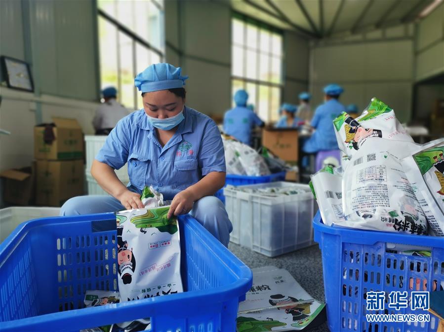 （決戰(zhàn)決勝脫貧攻堅(jiān)&middot;圖文互動）（2）貴州思南：發(fā)展&ldquo;紅薯經(jīng)濟(jì)&rdquo;助脫貧