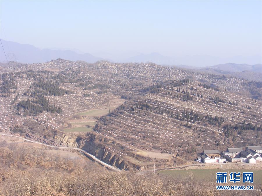 (決戰(zhàn)決勝脫貧攻堅(jiān)·圖文互動(dòng))(2)“愚公”治山