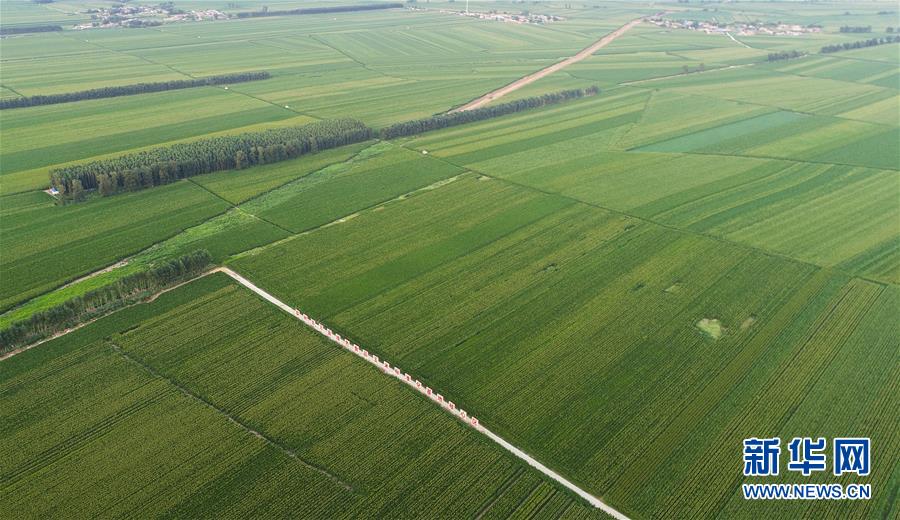 （在習(xí)近平新時(shí)代中國(guó)特色社會(huì)主義思想指引下&mdash;&mdash;新時(shí)代新作為新篇章&middot;習(xí)近平總書(shū)記關(guān)切事&middot;圖文互動(dòng)）（2）為黑土加&ldquo;油&rdquo;&mdash;&mdash;&ldquo;耕地中的大熊貓&rdquo;，我們這樣保護(hù)