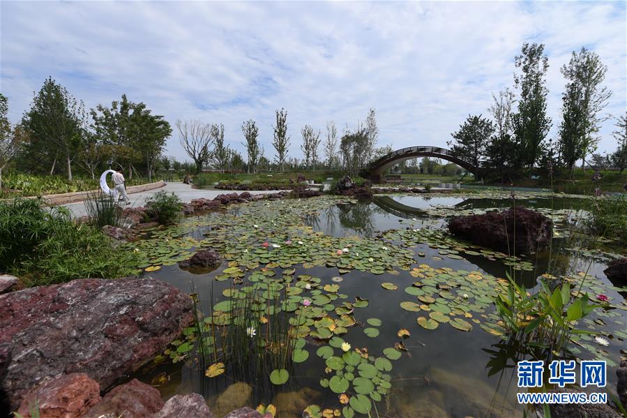 (新華全媒頭條·走向我們的小康生活·圖文互動)(1)“繡”出古都新生活——城市精細(xì)化治理的北京探索