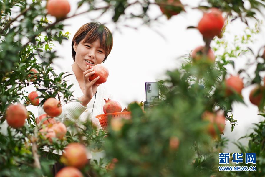 （新華全媒頭條&middot;圖文互動(dòng)）（12）流動(dòng)中國(guó)折射復(fù)蘇新氣象&mdash;&mdash;透視&ldquo;十一&rdquo;黃金周