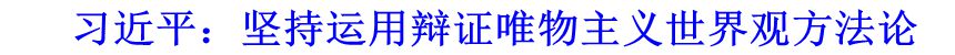 習(xí)近平：堅(jiān)持運(yùn)用辯證唯物主義世界觀方法論