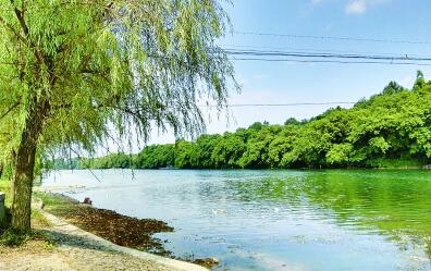 【網(wǎng)絡媒體走轉改】廣西興安：將紅色文化融入旅游業(yè)發(fā)展