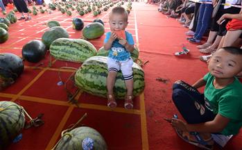 河南開(kāi)封：&ldquo;斗瓜&rdquo;大賽精彩紛呈