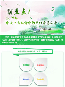 劃重點！2019年中央一號文件中的硬任務(wù)怎么干