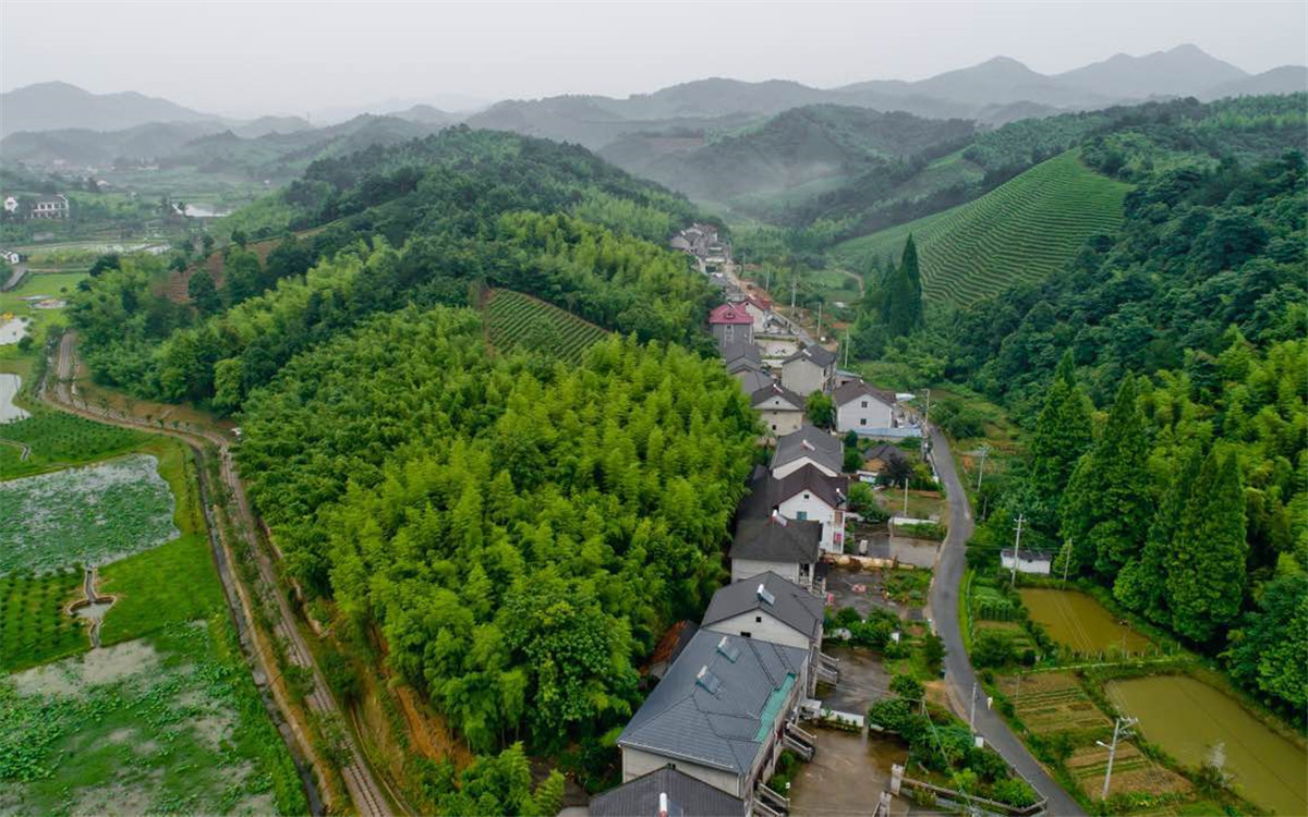 從2003年起，浙江省開展了&ldquo;千村示范、萬村整治&rdquo;工程