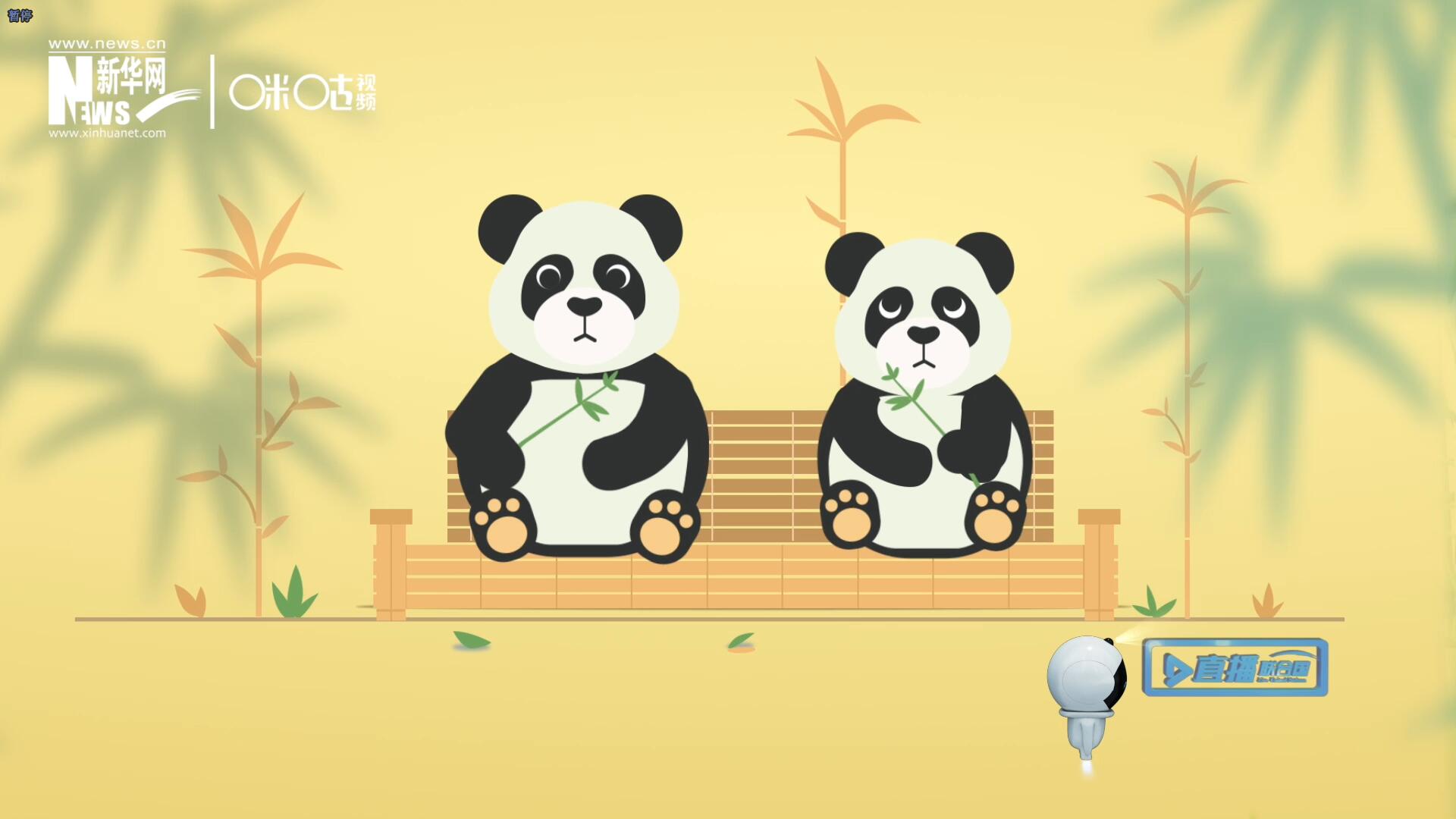 &ldquo;哥哥你看，又有人來看我們了。&rdquo;&ldquo;有什么奇怪的，我們可是聯(lián)合國&lsquo;最萌&rsquo;的大使??！&rdquo;。