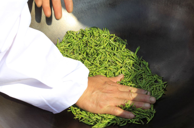 好茶占盡天時地利，炒茶師月入三五萬