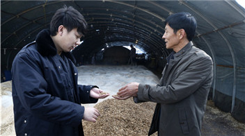 &ldquo;80后&rdquo;村官扎根一線 發(fā)展產業(yè)促鄉(xiāng)村振興