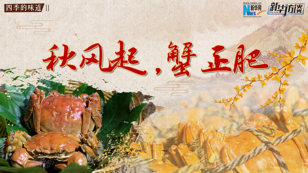 秋風(fēng)起，蟹正肥