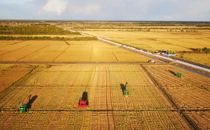 黑龍江：黑土地上書寫&ldquo;春天的答卷&rdquo;