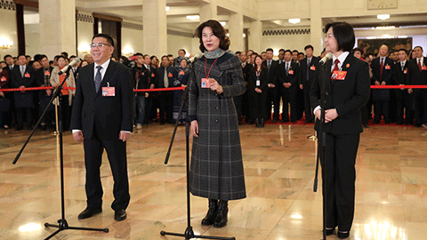 十三屆全國(guó)人大二次會(huì)議第二場(chǎng)&ldquo;代表通道&rdquo;