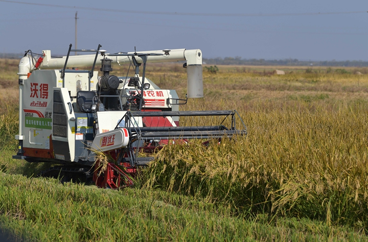 新華社評論員:穩(wěn)固耕地基本盤，打好種業(yè)翻身仗