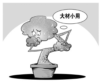 自認&ldquo;大材小用&rdquo;，不如腳踏實地