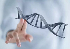 小細(xì)胞肺癌需要做基因檢測(cè)嗎？