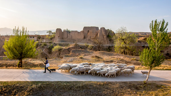 追夢(mèng)足跡｜上馬圈：鐵馬冰河，黃土斑駁