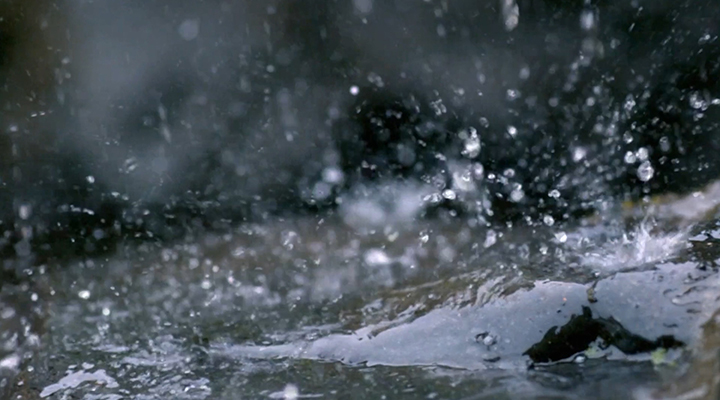 城市內(nèi)澇暴雨避險指南來了！