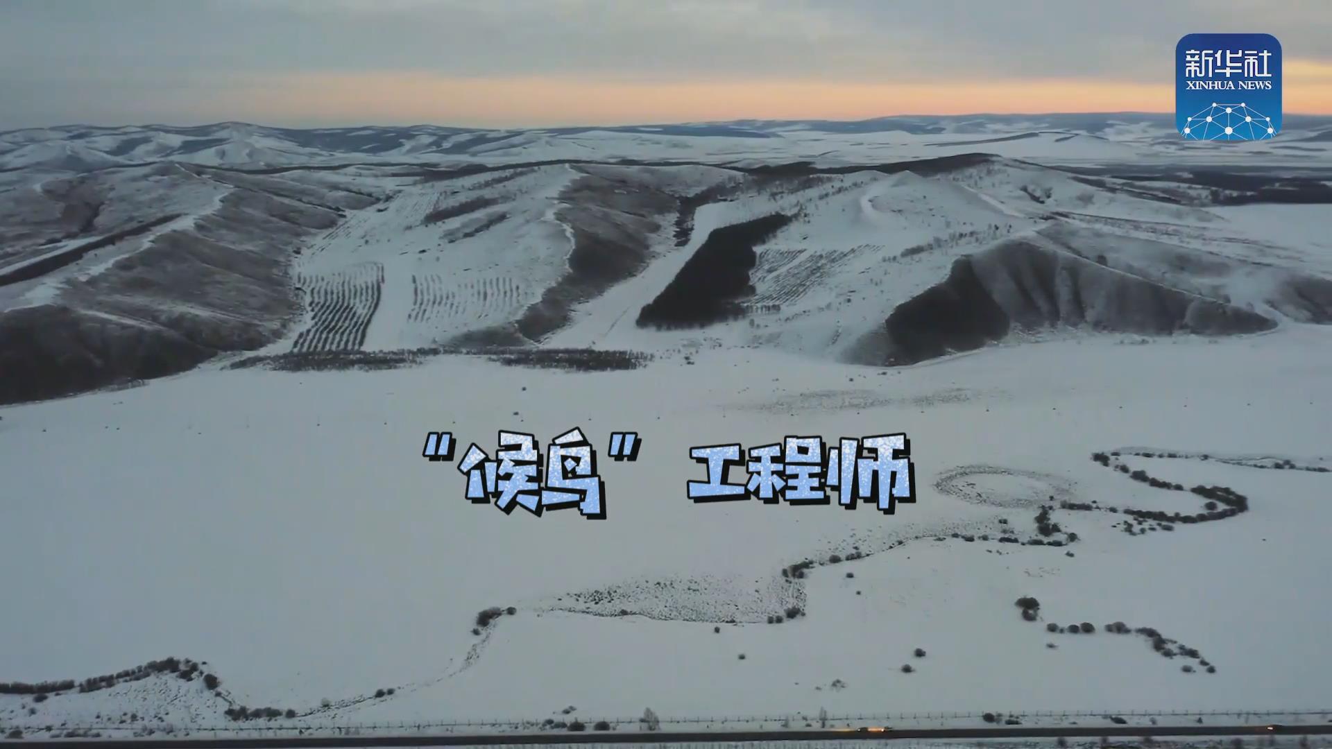 我們在奔跑丨一路向北！他是逆行的&ldquo;候鳥&rdquo;