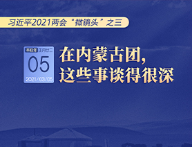 習(xí)近平2021兩會(huì)&ldquo;微鏡頭&rdquo;之三 3月5日 在內(nèi)蒙古團(tuán)，這些事談得很深