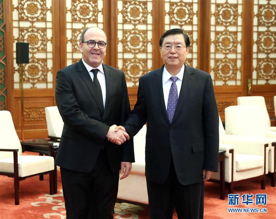 12月20日，全國人大常委會委員長張德江在北京人民大會堂會見摩洛哥參議長本希馬。新華社記者劉衛(wèi)兵攝